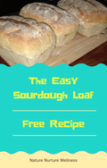 Free Sourdough Recipe eBook