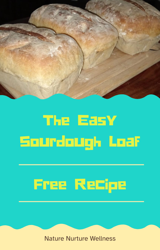 Free Sourdough Recipe eBook
